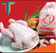 Ayam Frozen Uk 08-09 [1 Ball isi 30 ekor]